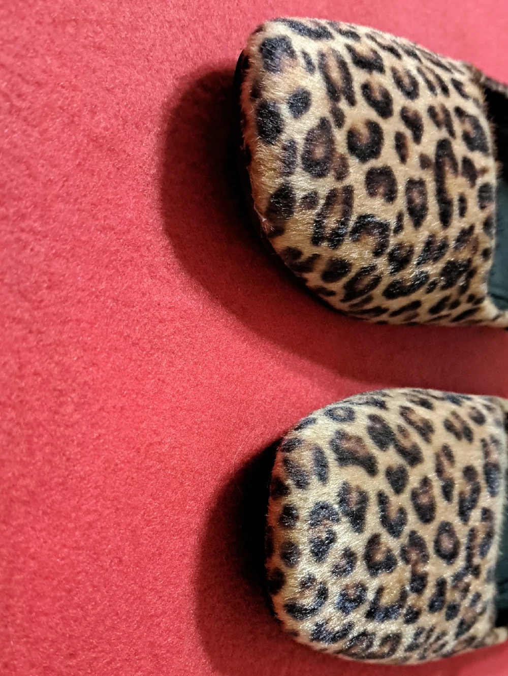 Banana Republic Leopard Mary Jane Flats - Picture 6 of 9